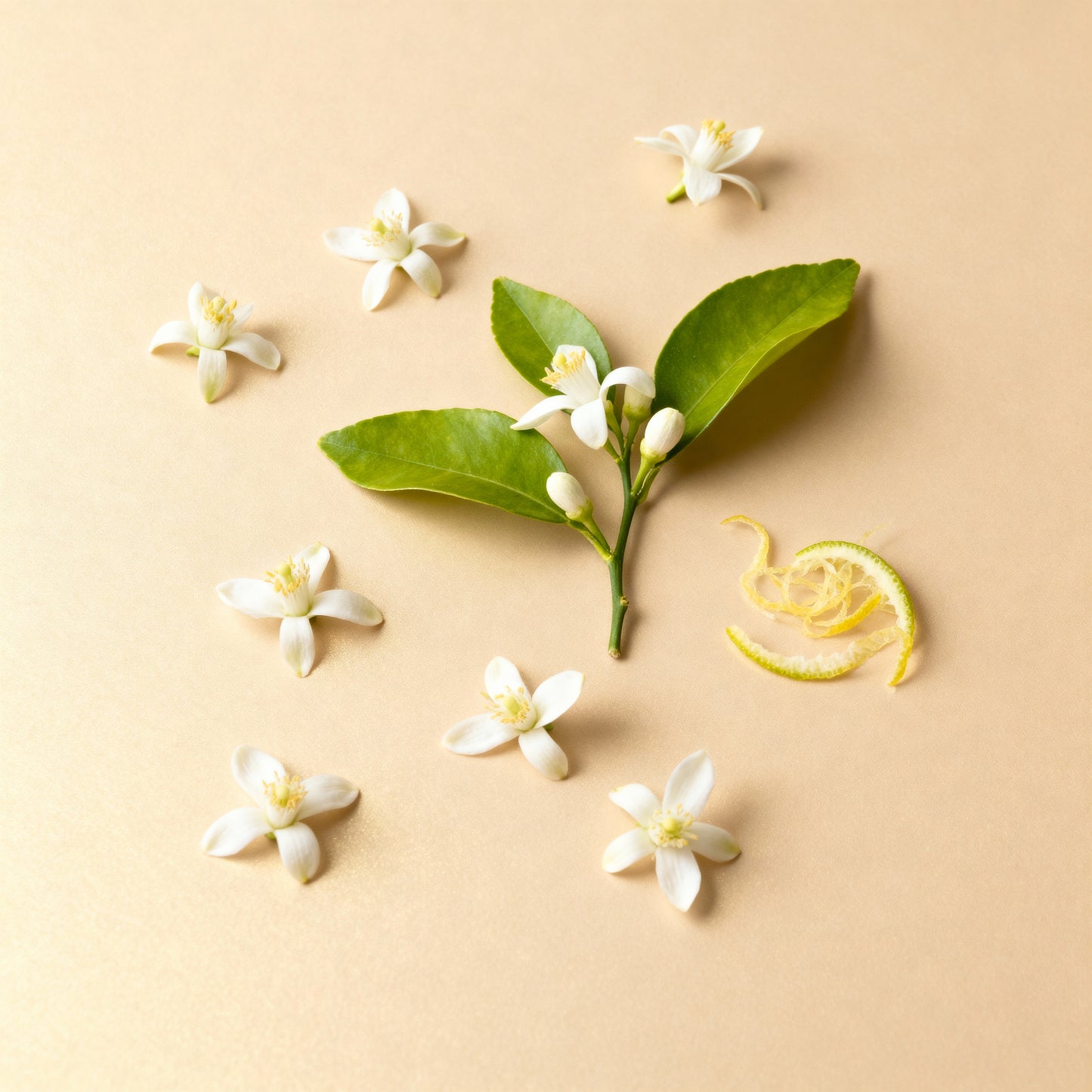 Flor de Neroli
