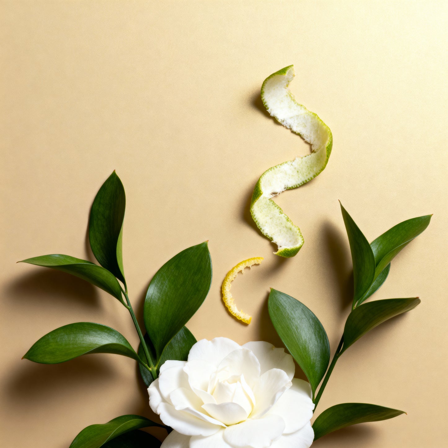 Green Home Refil (Shopping Cidade Jardim)