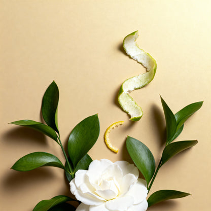 Green Home Refil (Shopping Cidade Jardim)